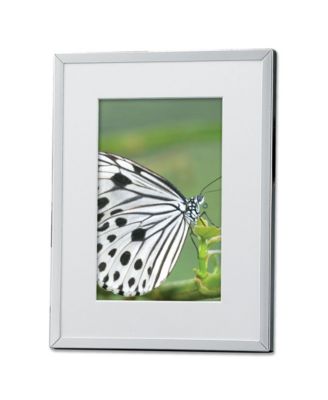 Lawrence Frames