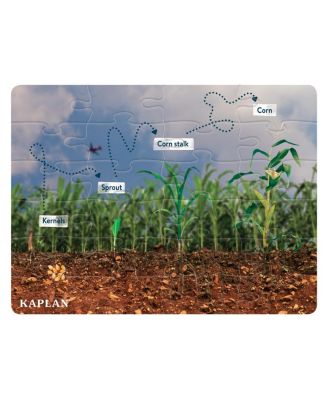 Kaplan Early Learning