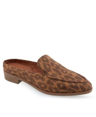 Aerosoles