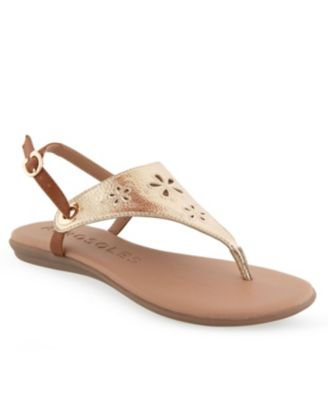 Aerosoles