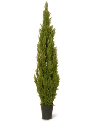 National Tree Company