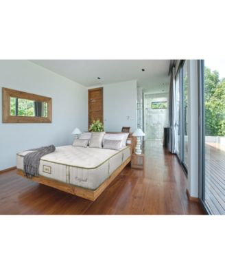 Paramount - Nature Spa Exhale 2.0 13" Plush Mattress-Twin