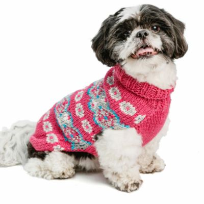 Chilly Dog