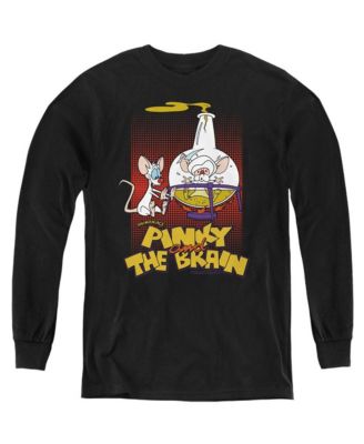 Pinky And The Brain