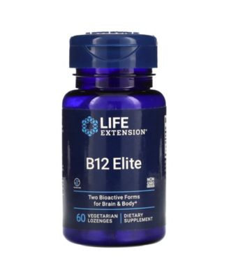 Life Extension