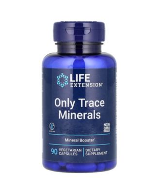 Life Extension