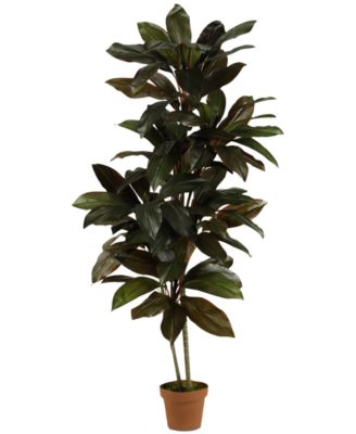 Nearly Natural - 5' Cordyline Real Touch Artificial Plant