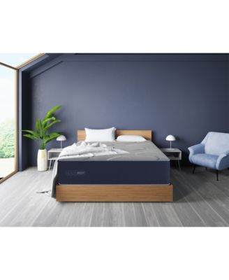 Restonic - HealthRest Bliss 13" Plush Mattress- King