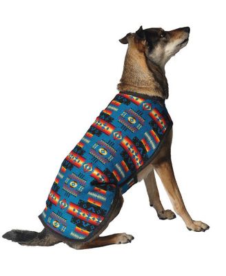 Chilly Dog