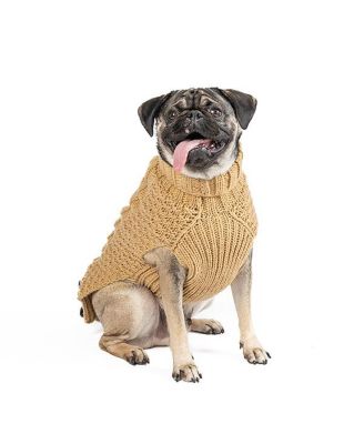 Chilly Dog