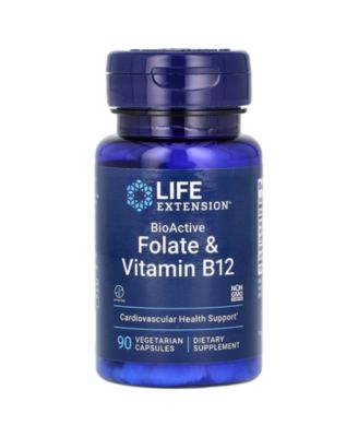 Life Extension