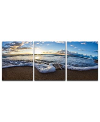 Ready2HangArt - 'Sea Star' 3-Pc. Canvas Art Print Set