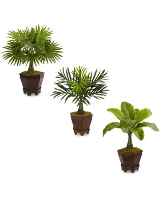 Nearly Natural - 3-Pc. 16.5" Assorted Mini Palm Artificial Tree Set in Planters