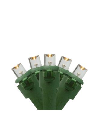 Northlight