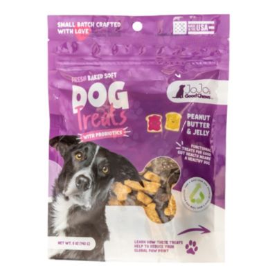 JoJo Modern Pets
