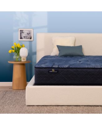Serta - Perfect Sleeper Cobalt Calm 13" Plush Mattress Set, Queen