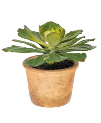 Vickerman