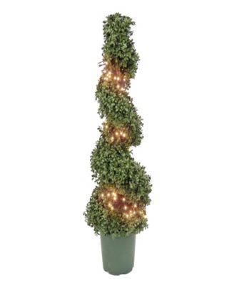National Tree Company