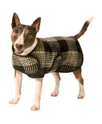 Chilly Dog