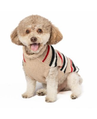 Chilly Dog