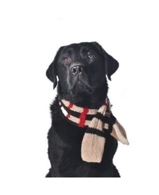 Chilly Dog