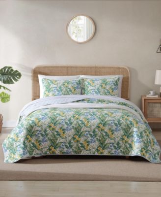 Tommy Bahama Home