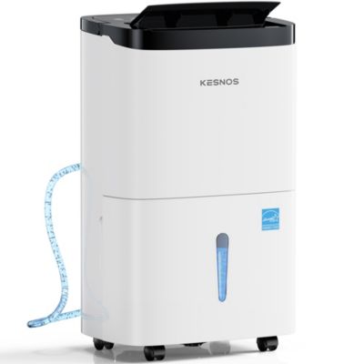 Kesnos