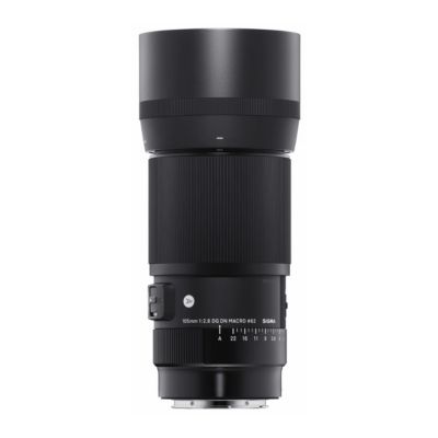 Sigma