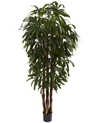 Nearly Natural - 6' Raphis Palm Tree