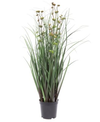 Vickerman
