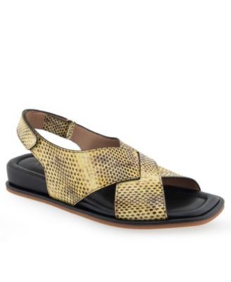 Aerosoles