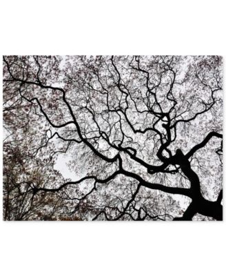 Trademark Global - 'Japanese Maple Spring Abstract II' Canvas Art by Kurt Shaffer