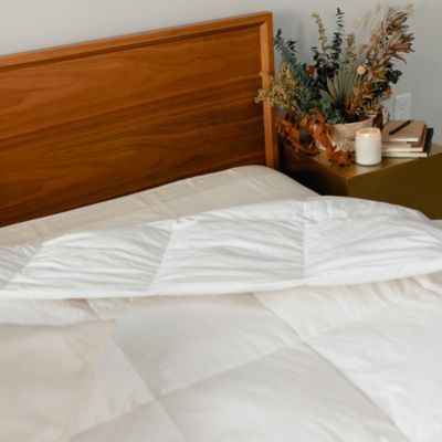 Slumber Cloud