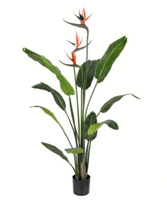 Vickerman