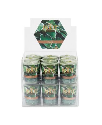 ROOT CANDLES
