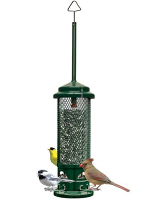 Squirrel Buster