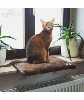 Pretty Kitty