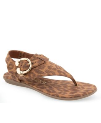 Aerosoles