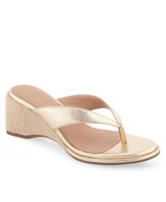 Aerosoles