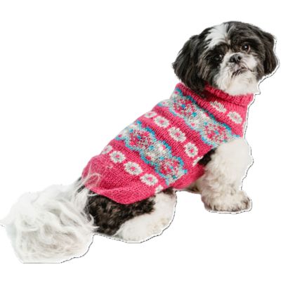 Chilly Dog