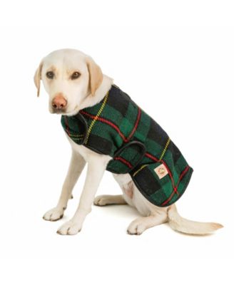 Chilly Dog