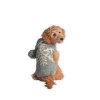 Chilly Dog