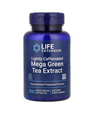 Life Extension