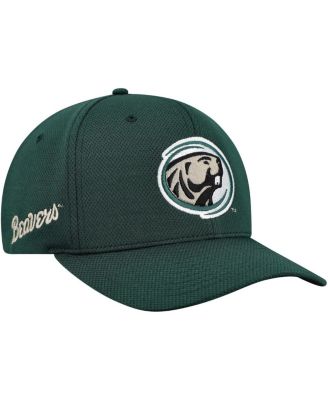 Top of the World - Men's Green Bemidji State Beavers Reflex Performance Flex Hat