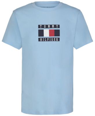 Tommy Hilfiger - Toddler Boys Global Stripe Block Logo Graphic T-Shirt