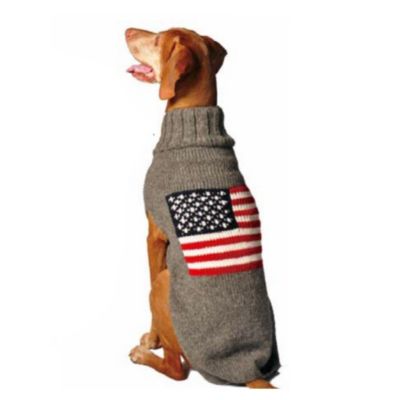 Chilly Dog