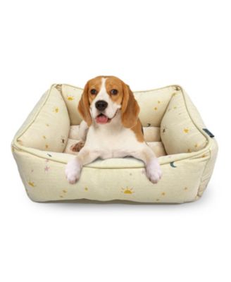 Paw & Décor