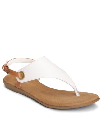 Aerosoles