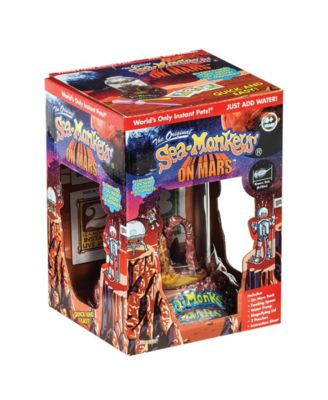 Sea Monkey's