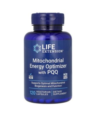 Life Extension